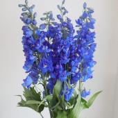 【生花】ジャイアントデルフィ（青）アリエルブルーなど　70-80cm程度　三豊【早締切-74】