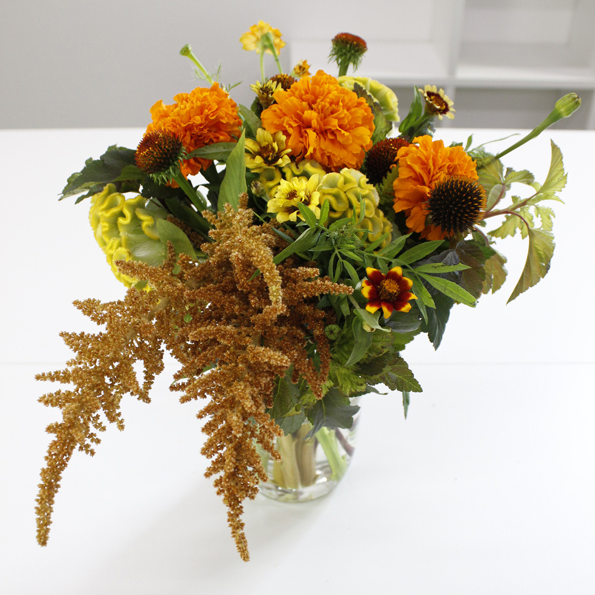 直前 アマランサス ホットビスケット 50cm 青木園芸ほか 生花 通販 はなどんやアソシエ 直前 アマランサス ホットビスケット 50cm 青木園芸ほか 生花 通販 はなどんやアソシエ