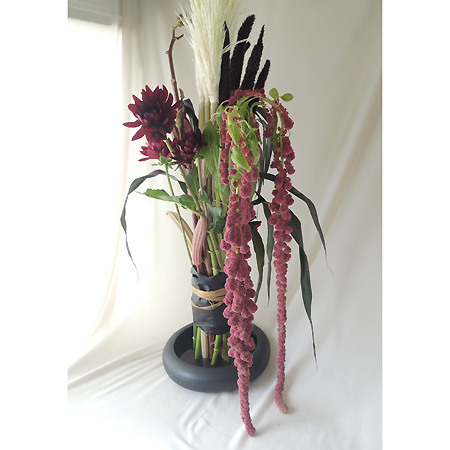 生花 アマランサス ハンギングレッド 70 90cm みなみ信州ほか 通販 はなどんやアソシエ 生花 アマランサス ハンギングレッド 70 90cm みなみ信州ほか 通販 はなどんやアソシエ