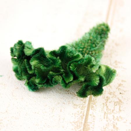 30%OFF◎【プリザーブド】J・flow/ケイトウヘッド(M)  フォレストグリーン 2ヘッド【S2-23】【ASK】