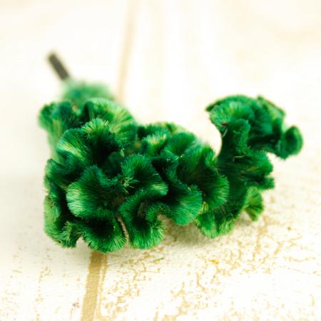 30%OFF◎【プリザーブド】J・flow/ケイトウヘッド(M) ベルベットグリーン  2ヘッド【S1-34】【ASK】