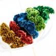 30%OFF◎【プリザーブド】J・flow/ケイトウヘッド(M) ボルドー 2ヘッド【S2-23】【ASK】