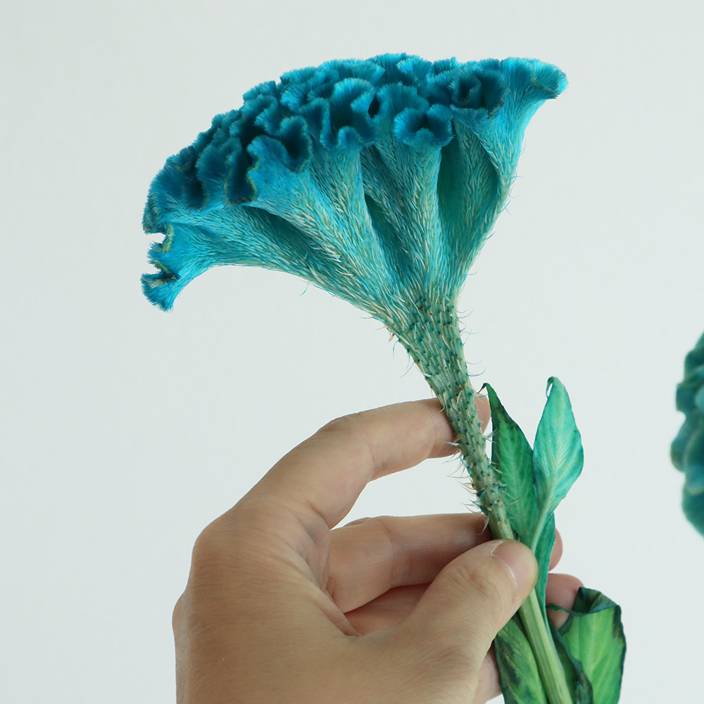 藤井風 カラビナ 花 水色 ライトブルー 2026年最新】花カラビナ 藤井風