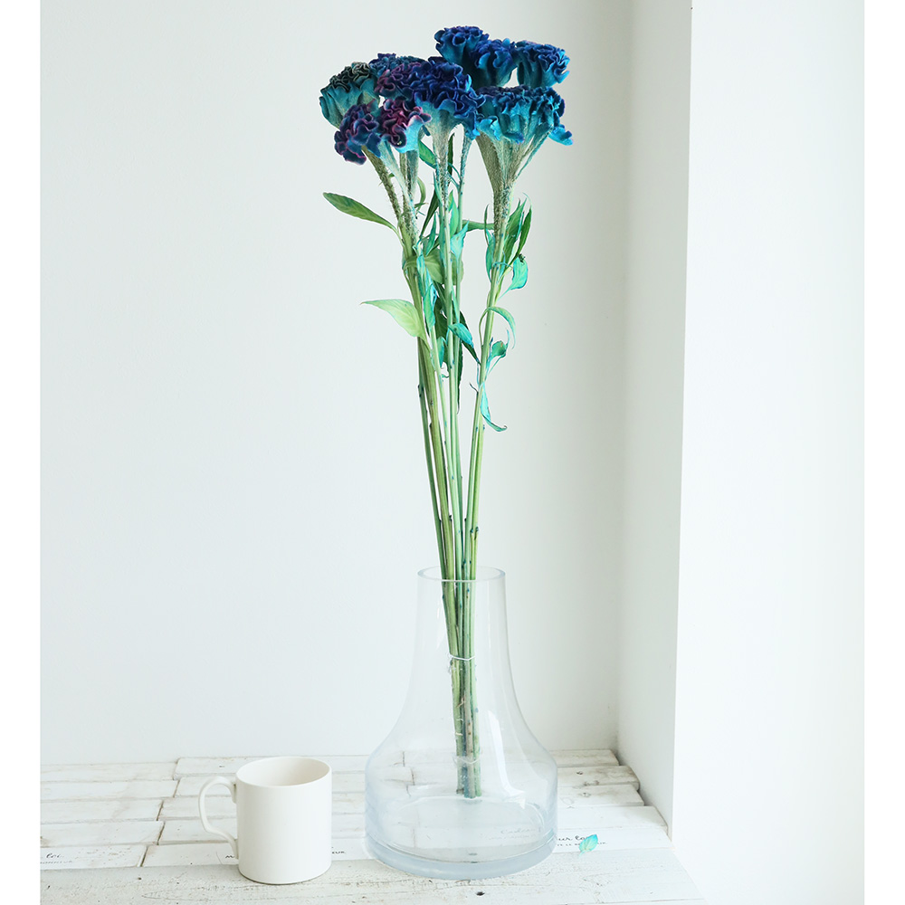 生花】石化ケイトウ 染パープル 山中さん 【早締切-74】 - 花材通販は