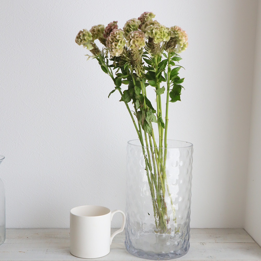 生花 ケイトウ シャティ30cm 早締切 74 通販 はなどんやアソシエ 生花 ケイトウ シャティ30cm 早締切 74 通販 はなどんやアソシエ