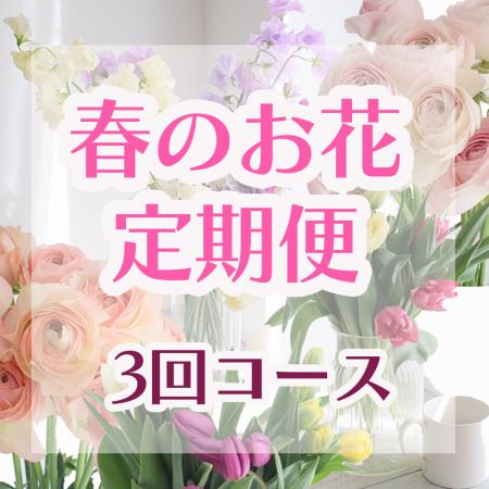 【生花】【送料込み】春のお花定期便(3回分)※北海道・九州・沖縄は送料加算