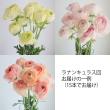 【生花】【送料込み】春のお花定期便(3回分)※北海道・九州・沖縄は送料加算