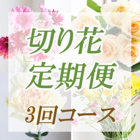 【生花】【送料込み】はなどんや切り花定期便(3～5月お届け、3回分)※北海道・九州・沖縄は送料加算
