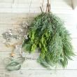 【生花】3つのベルのクリスマススワッグキット(グリーン):はなどんやキット