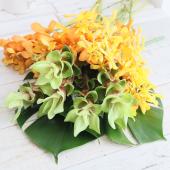 Rady トロピカルフラワー 2枚セット 生花】トロピカルフラワーセット(ハニー&グリーン) - 花材通販はなどん