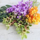 生花】トロピカルフラワーセット(オレンジ&パープル) - 花材通販はなど