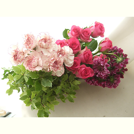 ロイヤリティフリーダーク ピンク 薔薇 最高の花の画像 ロイヤリティフリーダーク ピンク 薔薇 最高の花の画像