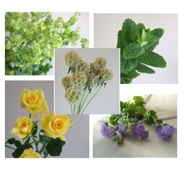 生花】ミントの花束セット - 花材通販はなどんやアソシエ