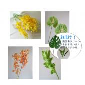 生花】おまけつき!トロピカルフラワーセット:黄色×オレンジ系 - 花材