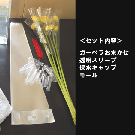 生花 1本花束 セルフラッピングキット ガーベラ色おまかせ ボリューム割 通販 はなどんやアソシエ 生花 1本花束 セルフラッピングキット ガーベラ色おまかせ ボリューム割 通販 はなどんやアソシエ
