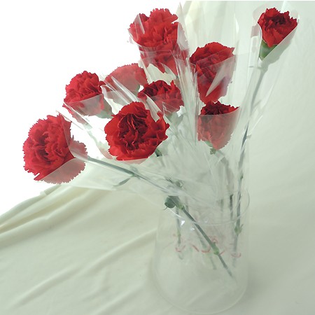 生花 母の日 手作り1本ラッピングカーネーションキット ピンク系カーネーション100本 通販 はなどんやアソシエ 生花 母の日 手作り1本ラッピングカーネーションキット ピンク系カーネーション100本 通販 はなどんやアソシエ