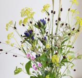 秋の草花 生花】新・秋の七草フラワーセット - 花材通販はなどんやアソシエ