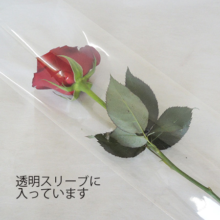 生花 1本花束ブーケ バラ 赤 通販 はなどんやアソシエ 生花 1本花束ブーケ バラ 赤 通販 はなどんやアソシエ