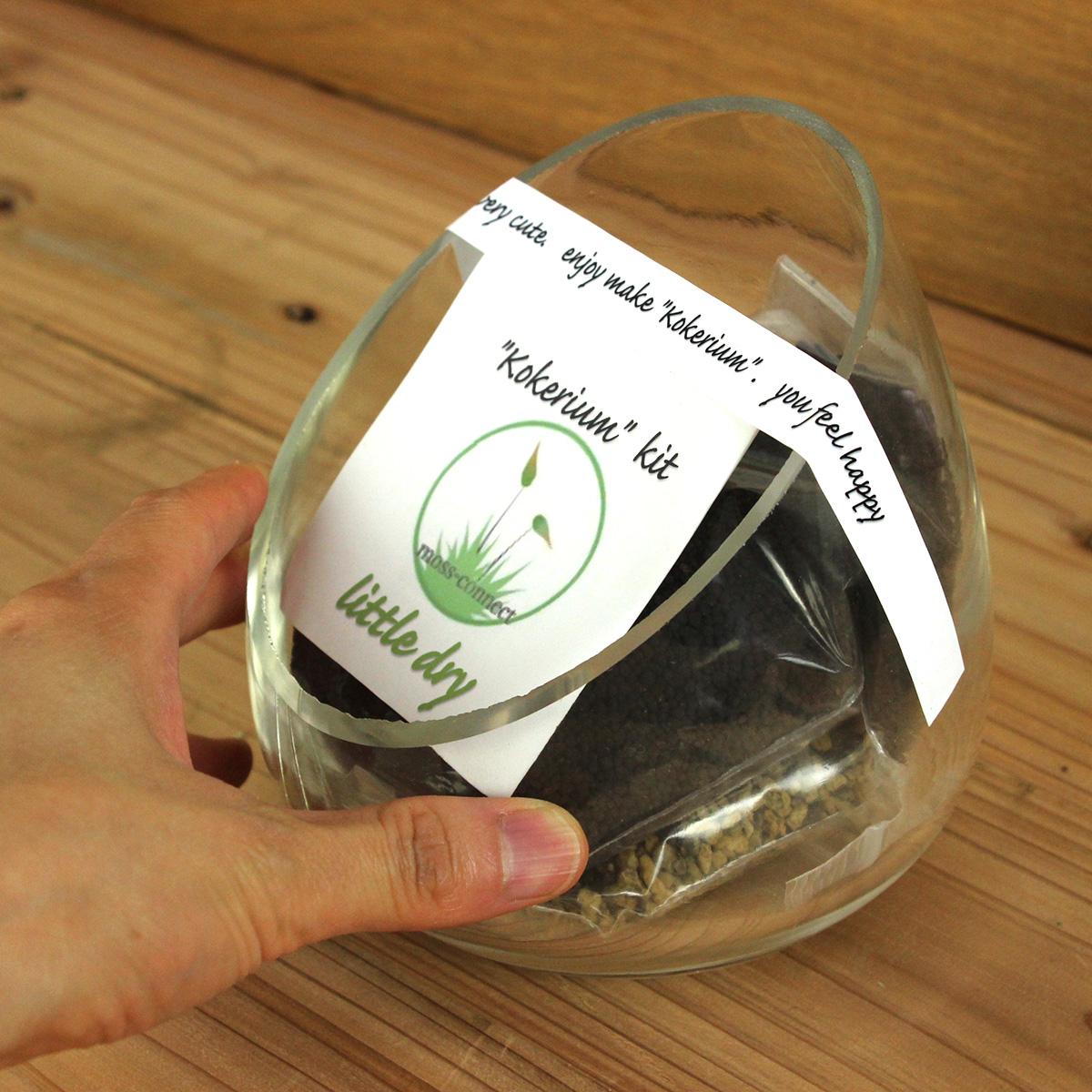 生花 直送 コケリウムキット Little Dry リトルドライ Moss Connect商品以外は同梱不可 通販 はなどんやアソシエ 生花 直送 コケリウムキット Little Dry リトルドライ Moss Connect商品以外は同梱不可 通販 はなどんやアソシエ