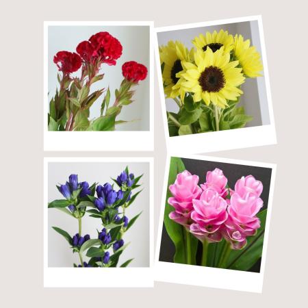【直前】季節のお花20本セット(おまかせ4種) 【生花】☆