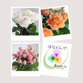 直前】バラ15本セット(おまかせ3種) 【生花】☆ - 花材通販はなどんや