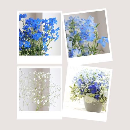 【直前】ブルーと白のミステリーフラワー12本セット【生花】☆
