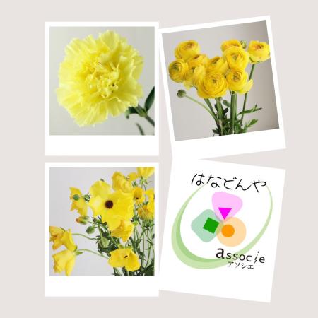【直前】推しカラーセット(黄)【生花】