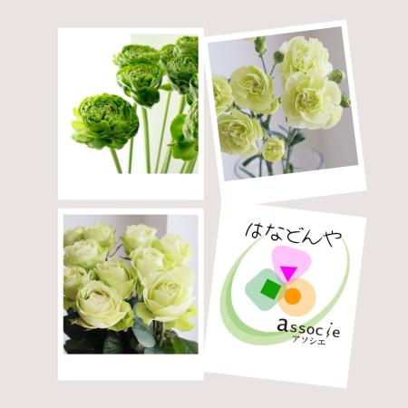 【直前】推しカラーセット(グリーン)【生花】