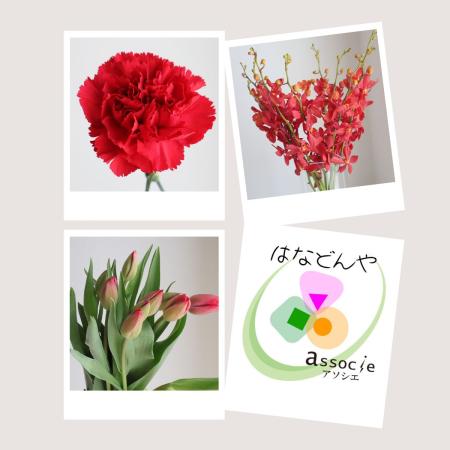 【直前】推しカラーセット(赤)【生花】