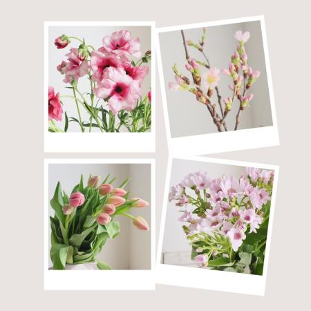 【直前】推しカラーセット(ピンク)【生花】