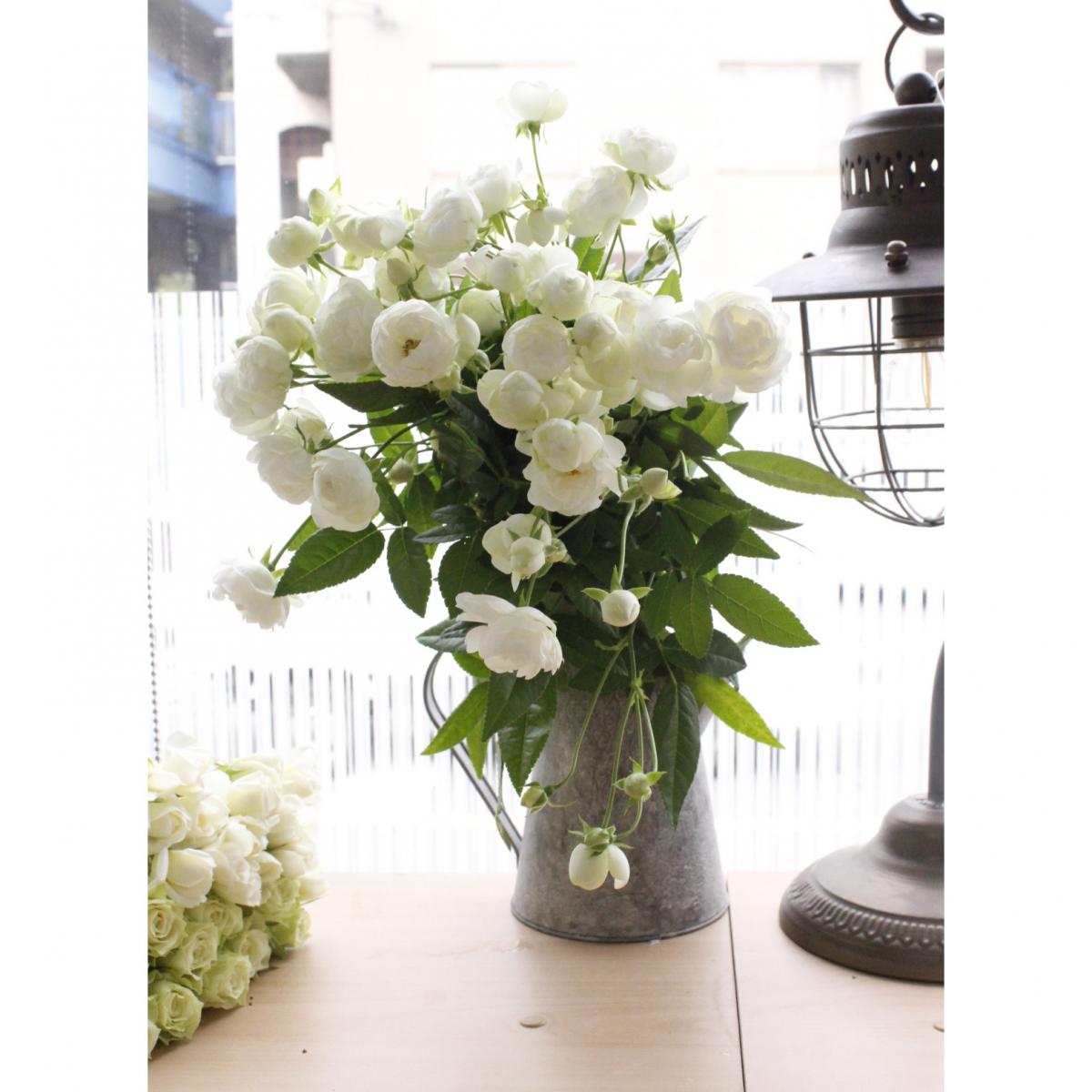 生花】母の日簡易ラッピング付き◇SPバラ スプレーウィット 10本