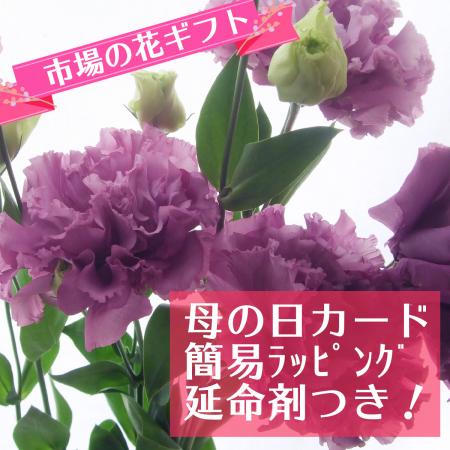 生花 母の日簡易ラッピング付き トルコ桔梗 エグゼラベンダー 5本 通販 はなどんやアソシエ
