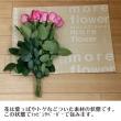 【生花】母の日簡易ラッピング付き◇トルコ桔梗　エグゼラベンダー　5本