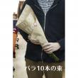 【生花】簡易ラッピング付き◇国産バラ　カルピディーム　10本