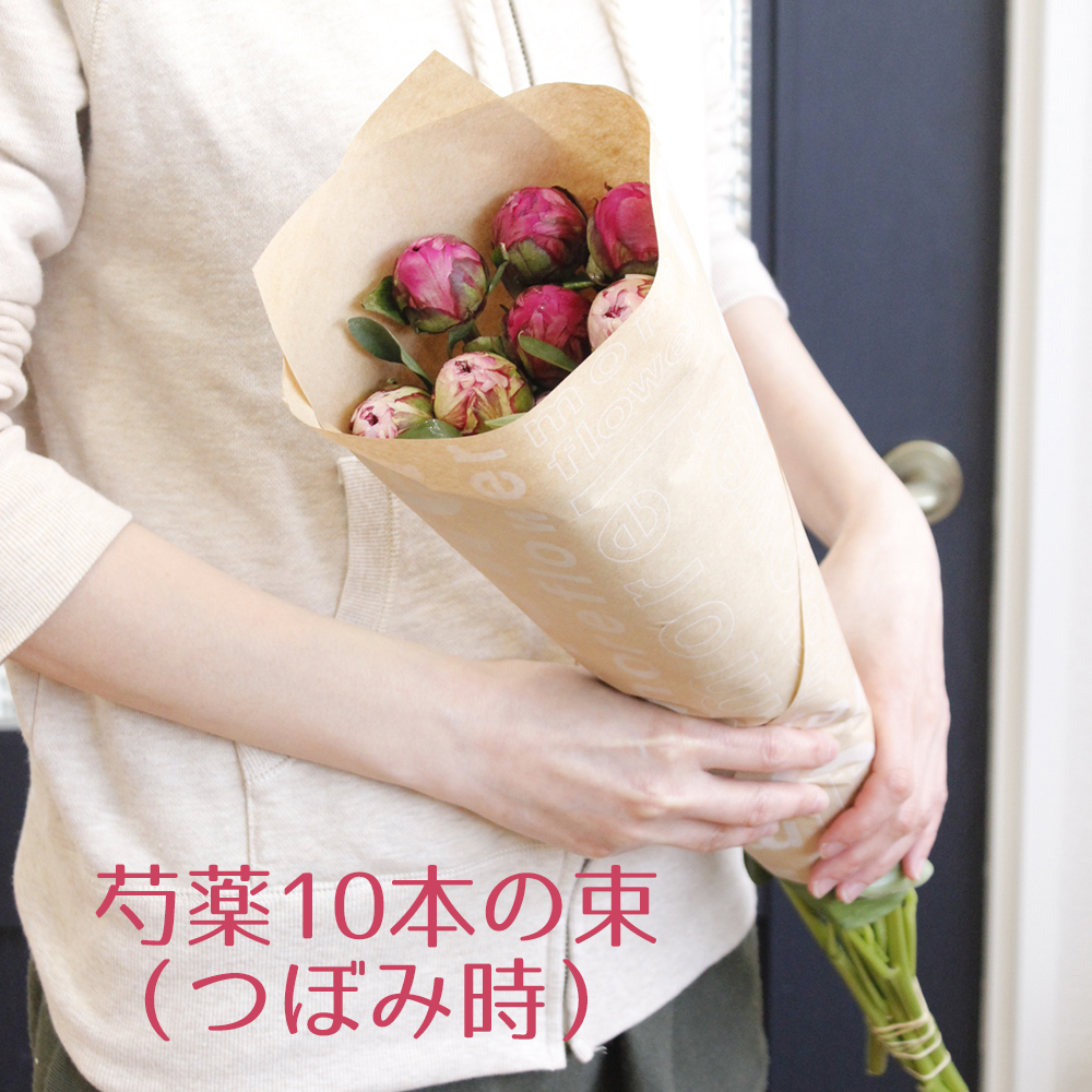 生花 簡易ラッピング付き 芍薬ピンクミックス 10本 母の日カードなし 通販 はなどんやアソシエ 生花 簡易ラッピング付き 芍薬ピンクミックス 10本 母の日カードなし 通販 はなどんやアソシエ