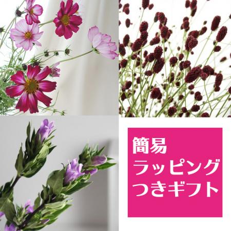 【生花】簡易ラッピング付き◇秋の人気草花セット【敬老の日ギフト】
