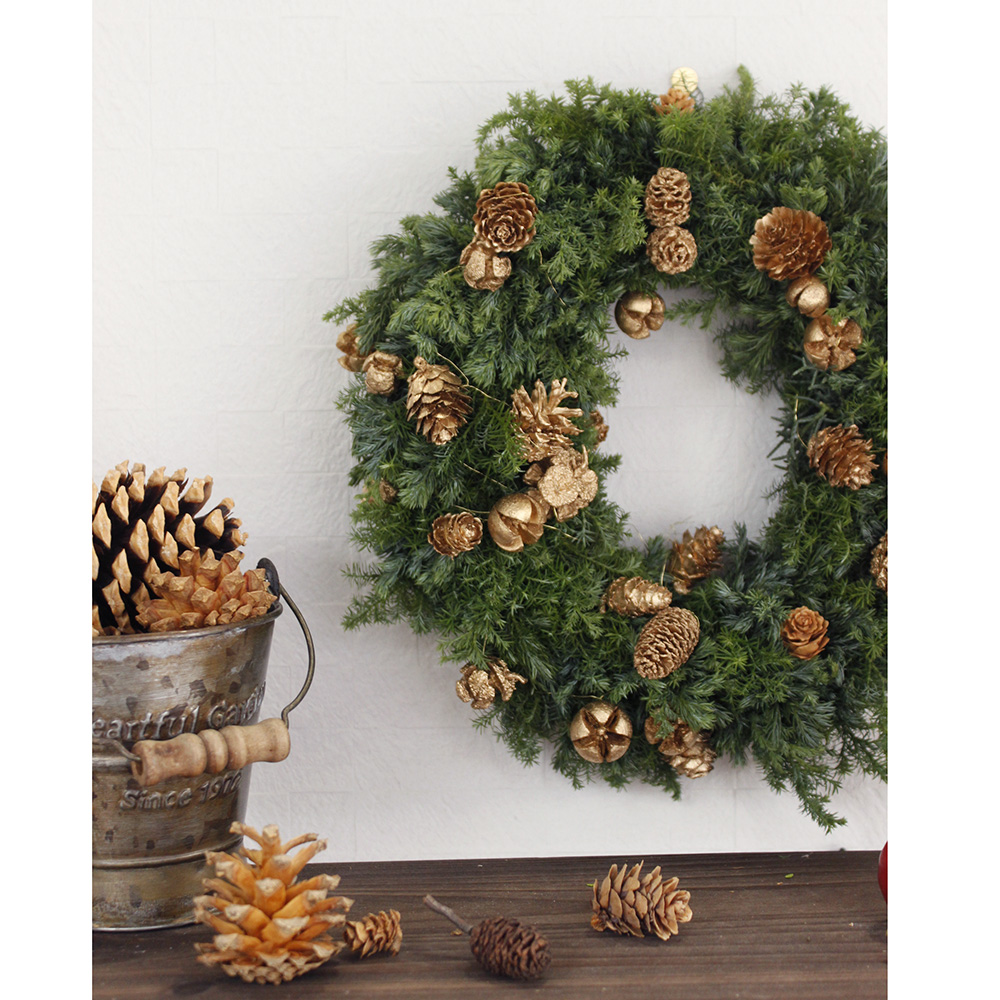 生花 飾りつけ簡単 オレゴンモミのクリスマスリースキットa コーン リボン赤系おまかせ 通販 はなどんやアソシエ 生花 飾りつけ簡単 オレゴンモミのクリスマスリースキットa コーン リボン赤系おまかせ 通販 はなどんやアソシエ