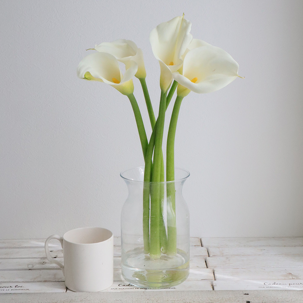 直前 カラー ウェディングマーチ 白 60センチ程度 生花 通販 はなどんやアソシエ