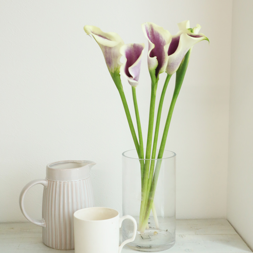 直前 カラー ピカソ 紫 クリーム白 40 50cm 程度 Or 13 通販 はなどんやアソシエ 直前 カラー ピカソ 紫 クリーム白 40 50cm 程度 Or 13 通販 はなどんやアソシエ