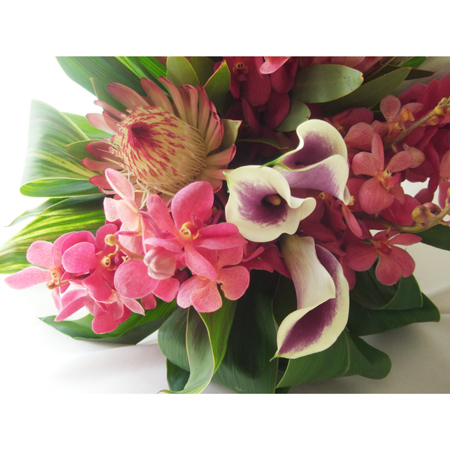 直前 カラー ピカソ 紫 クリーム白 40 50cm 程度 Or 13 通販 はなどんやアソシエ 直前 カラー ピカソ 紫 クリーム白 40 50cm 程度 Or 13 通販 はなどんやアソシエ