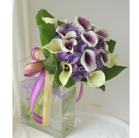 直前 カラー ピカソ 紫 クリーム白 40 50cm 程度 Or 13 通販 はなどんやアソシエ 直前 カラー ピカソ 紫 クリーム白 40 50cm 程度 Or 13 通販 はなどんやアソシエ