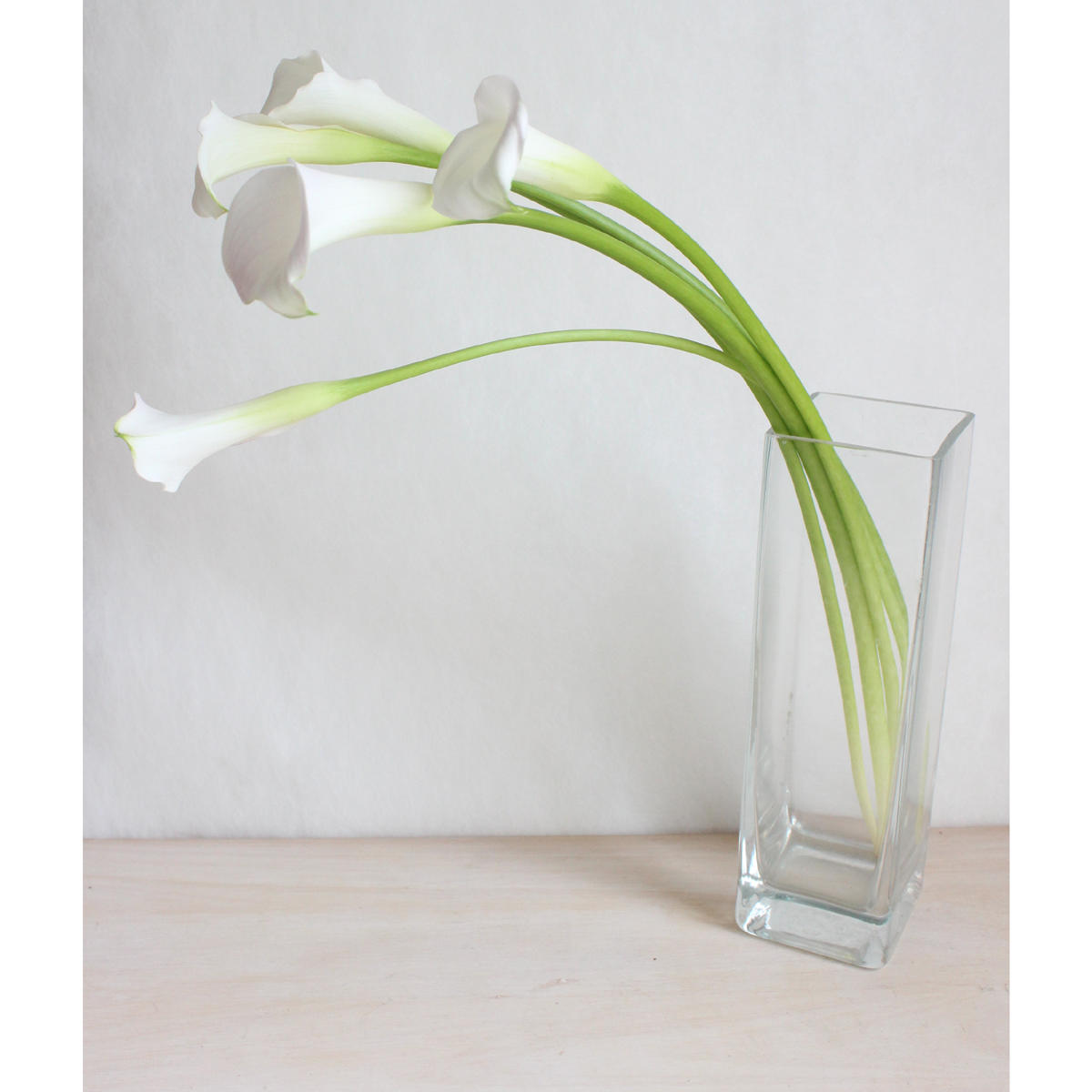 生花 カラー サッポロ 白 60cm程度 通販 はなどんやアソシエ 生花 カラー サッポロ 白 60cm程度 通販 はなどんやアソシエ