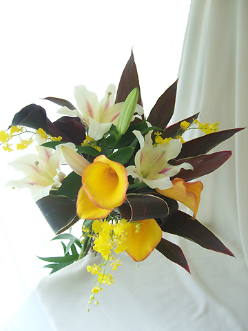 直前】〜*。月田農園の森のカラー オレンジ2(オレンジふち)50〜60程度