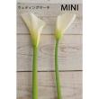 【生花】カラーMINI(白)50cm【OT】千葉県