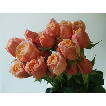 生花】【メルヘン新春フェア!】M-ヴィンテージセピア(オレンジ