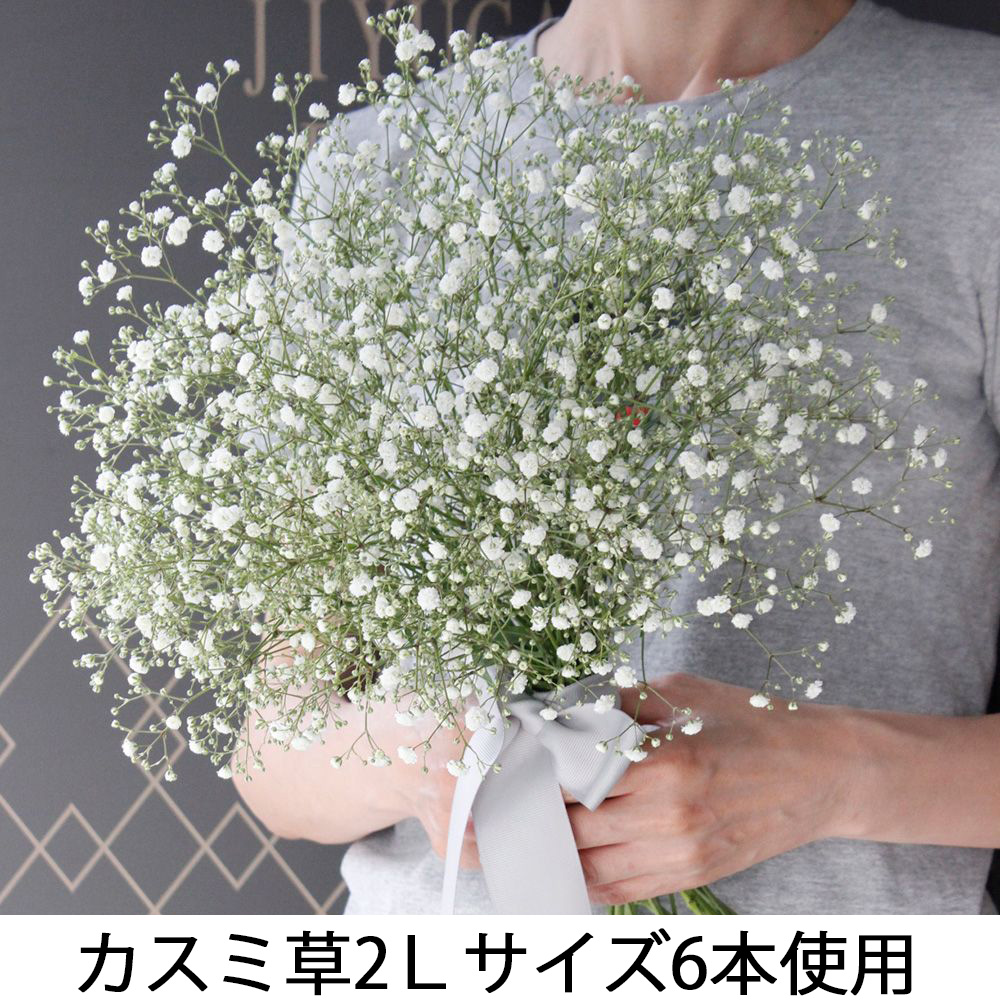 生花 カスミ草 2lサイズ ペールスターなど Ita 22 通販 はなどんやアソシエ 生花 カスミ草 2lサイズ ペールスターなど Ita 22 通販 はなどんやアソシエ