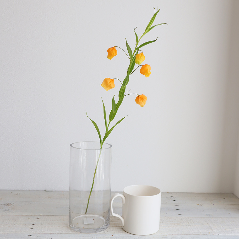 直前 サンダーソニア オレンジ 60cm程度 生花 通販 はなどんやアソシエ 直前 サンダーソニア オレンジ 60cm程度 生花 通販 はなどんやアソシエ