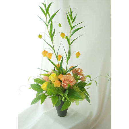 直前 サンダーソニア オレンジ 60cm程度 生花 通販 はなどんやアソシエ 直前 サンダーソニア オレンジ 60cm程度 生花 通販 はなどんやアソシエ