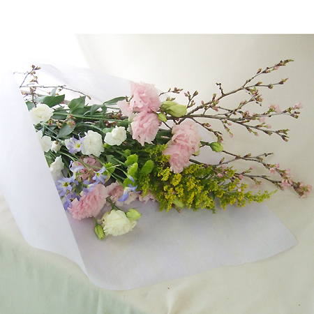 生花 ソリダコ 黄 通販 はなどんやアソシエ 生花 ソリダコ 黄 通販 はなどんやアソシエ