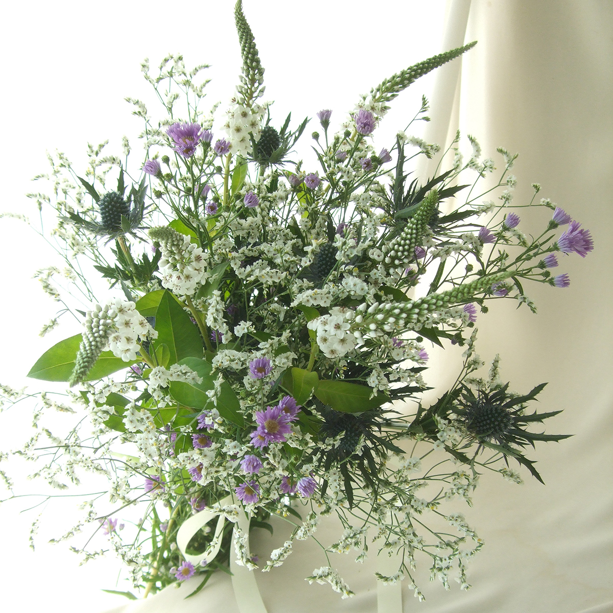 生花 クジャク草 紫 通販 はなどんやアソシエ 生花 クジャク草 紫 通販 はなどんやアソシエ